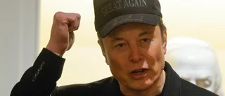 Musk till Zelenskyj: "Grymt och omänskligt"