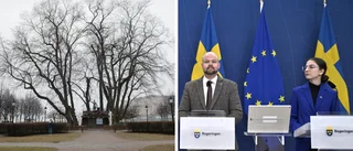Regeringen och SD: Hög tid att rädda almen