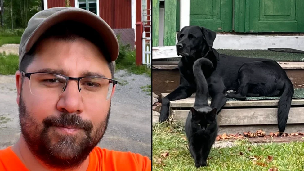 "Som allting annat så vänjer man sig vid vargarna", säger Petri Jaukka som satt upp en kamera för att kunna skydda hunden Sisu och sina katter från Axsjörevirets vargflock.  