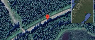 En personbil i viltolycka på väg 356