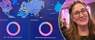 Kommunens systemförvaltare: "Kan ta lärdom från andra"
