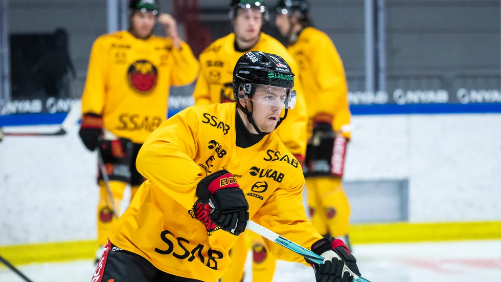 Jesper Sellgren är ett osäkert kort för Luleå Hockey i den sjätte semifinalen.