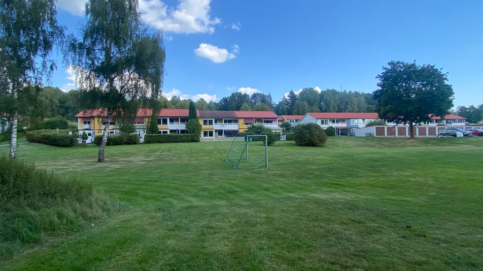 Genralshöjden i Malmköping. Här har varg dokumenterats flera gånger de senaste dagarna. 