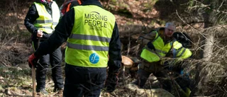 Police suspend moose hunting as search intensifies