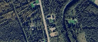 Skogen på Kattilasaari 20 i Kattilasaari har ny ägare