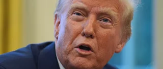 Trump har faktiskt rätt om Gaza