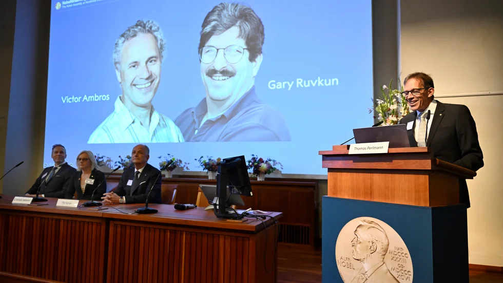 Victor Ambros och Gary Ruvkun tilldelas årets Nobelpris i fysiologi eller medicin.