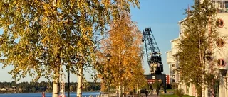 Läsarbild: Morgon i södra hamn