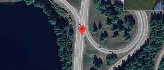 Älg på fel sida viltstängslet på E4