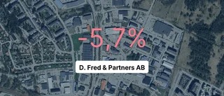 D. Fred & Partners AB: Intäkterna fortsätter växa