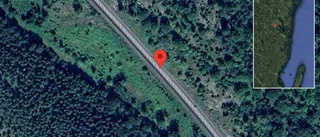 Varnar för djur på vägen på E22