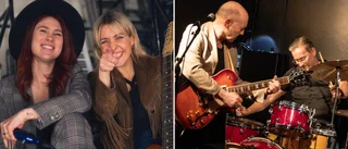 Vintrig bluesfestival i Uppsala för tredje året i rad