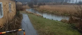 Oroväckande höga halter av läkemedel i Gnestas avlopp
