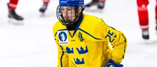 Finalförlust för AIK-spelarna i Småkronorna – USA vann målfest