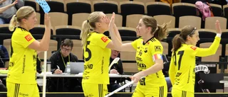 Repris – se matchen mellan Endre och Telge