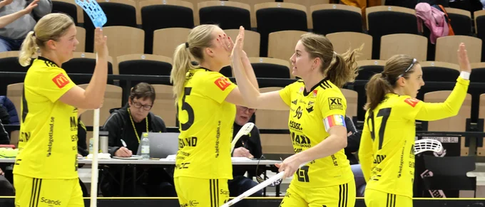 Repris – se matchen mellan Endre och Telge