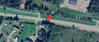 Stopp på väg 94 på grund av viltolycka med en personbil