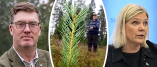 Markägare riskerar bli av med mark – utan rätt till ersättning
