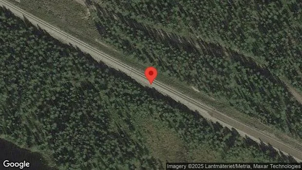 Träd över vägen skapar problem i trafiken på väg 95