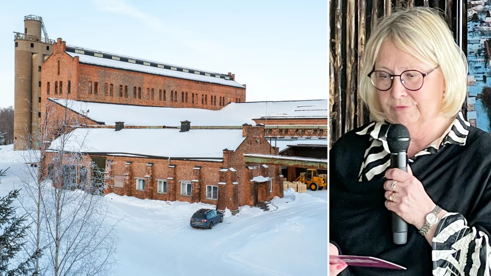 Omvandla Örviken genom växtsanering, industripark och bostäder. Det förelaget presenterades på tisdagen, och där den viktiga starten är sanering av det förorenade industriområdet. Harriet Wistemar, Skellefteå kommun, medverkade vid presentationen i Stockholm och tycker att idéerna från det fyra personer starka kreativa teamet ser ”jättebra ut”.