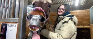 Stallets framtid avgörs • Björk, 14: "Varför stanna här utan det"