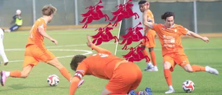 BETYGEN: Får +++++ – han var bäst i AFC