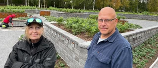 Rosornas borg rymmer sista vilan • "Blir en upplevelse året om"