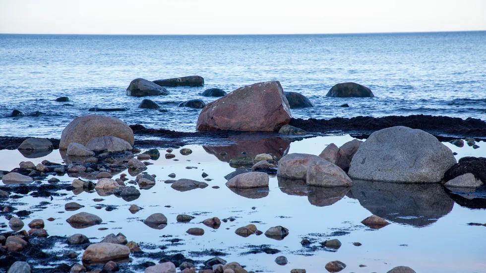 "Dagens strandskyddsregler är omfattande och hindrar brukandet av egen mark. Vi har stor respekt för att allmänheten ska ha tillgång till vatten, även de som inte äger en strandtomt. Men vi behöver ha klart för oss att tillgång till strandlinje inte är ett problem i Sverige", skriver insändarskribenterna. (Arkivbild)