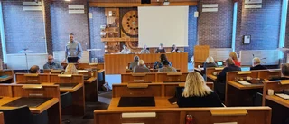 Partikollegans drag räddade kommunalrådet