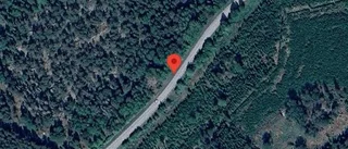 Singelolycka orsakar stopp på väg 1100