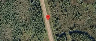 Singelolycka orsakar stopp på E10