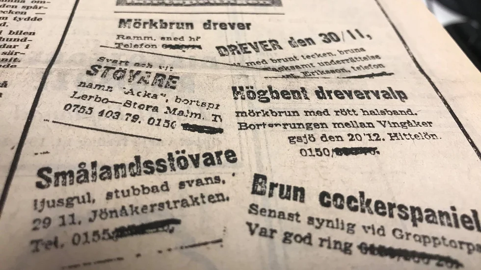 Kuriren för 50 år sedan: Nästan dagligen annonseras det efter bortsprungna hundar. Men har de verkligen sprungit bort?