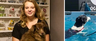 Snart erbjuds pool och utegym till Uppsalas hundar