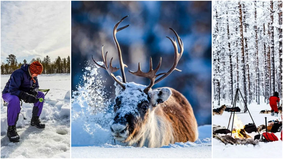 Upplev äkta norrländsk vinter i Malå hos Flarken Adventure. Testa skid- eller snöskoturer i Altai, isfiske eller ett möte med samerna.