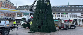 Beskedet: Då monteras jättegranen på torget 