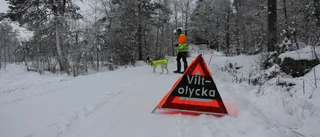 Polisens natt: Lastbil i älgolycka på 97:an
