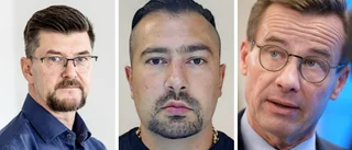 Experten: Därför vill inte Sverige pressa Turkiet om Räven