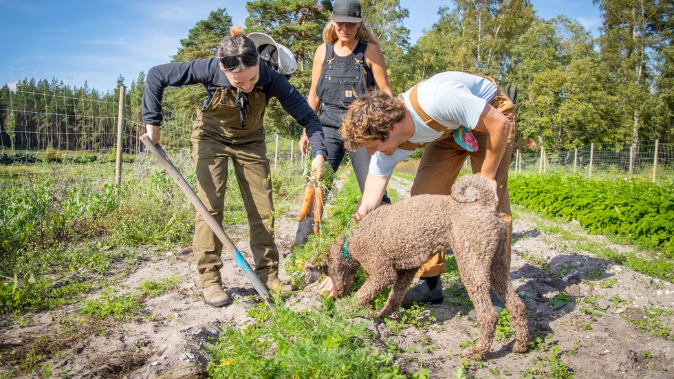 Vistelsen på Tjeldervik gård har inneburit möten med både tvåbenta och fyrbenta vänner.