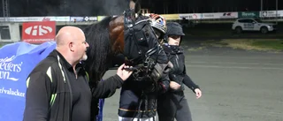 Hästägarens jättesuccé på Bodentravet 