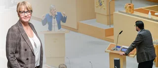 Väldigt mycket "ja men ni då?" i riksdagens partiledardebatt