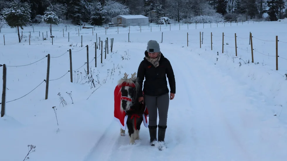 Julia Andreasson och Ponnyn Polly