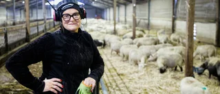 Vågade satsa helhjärtat – prisas: ”Aldrig ångrat mig”