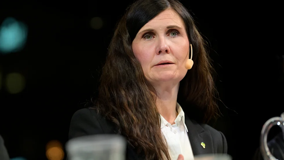 Flera medarbetare beskriver att de upplever ett "stort lidande" i arbetet nära Miljöpartiets språkrör Märta Stenevi. Arkivbild.