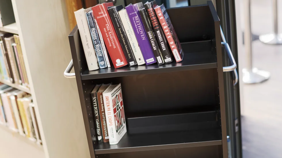 Vänge skolas skolbibliotek kommer att finnas kvar, skriver Linda Eskilsson. (Bilden är tagen på ett annat ställe).