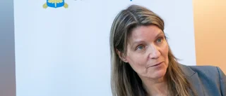 Säpo: "Säkerhetsläget har försämrats"
