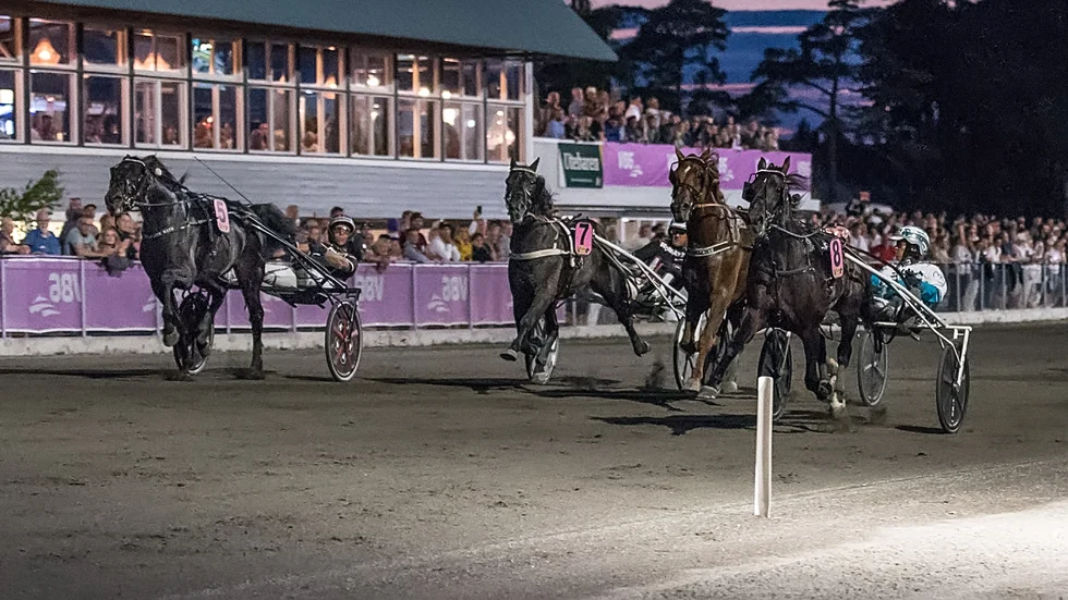 Det är hög status bland startande hästar i V86 på Visby Travfest.