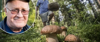 Svampexperten om årets säsong: "Ser lovande ut"