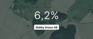 Skälby Grisen AB redovisar kraftig resultatökning