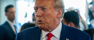 Inte marknadens fel att vi fick Trump och Brexit