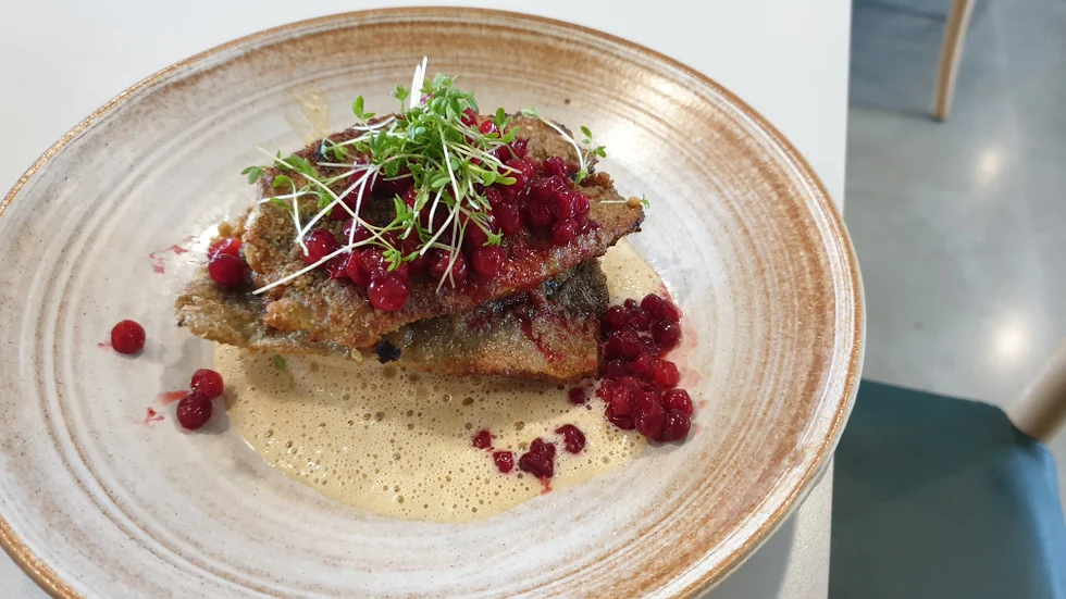 Dill- och rågmjölsstekt strömming med potatispuré, lingon, brynt smör och kantarellsås.